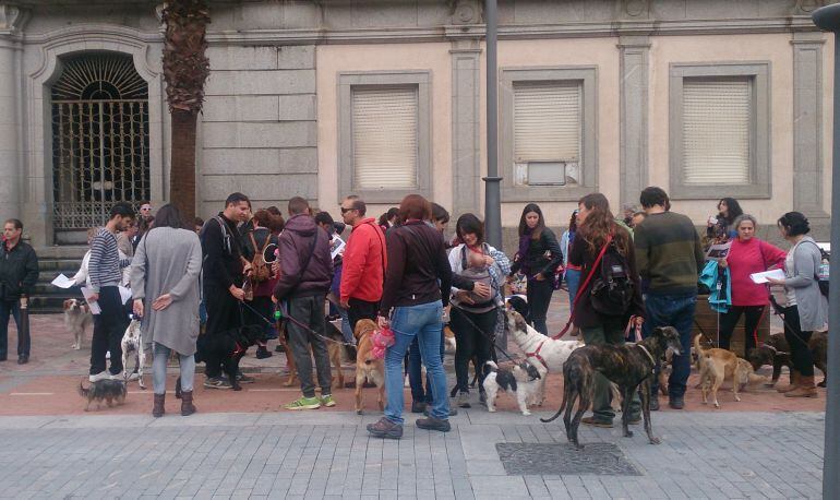 Concentración dueños de perros en Huelva.