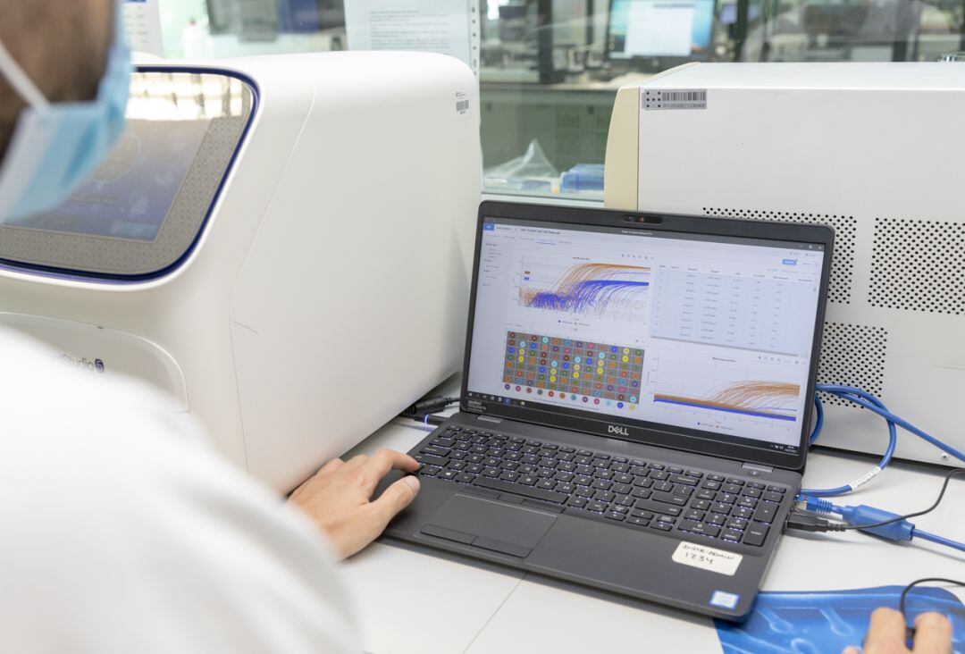 Análisis rápido de PCR