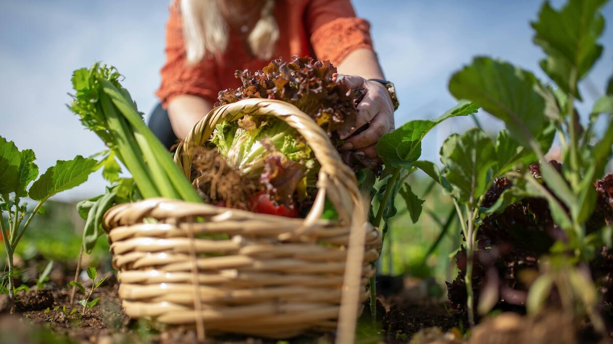 Científicos de todo el mundo aprenden en Barreiros cómo combatir la crisis climática a través de la alimentación