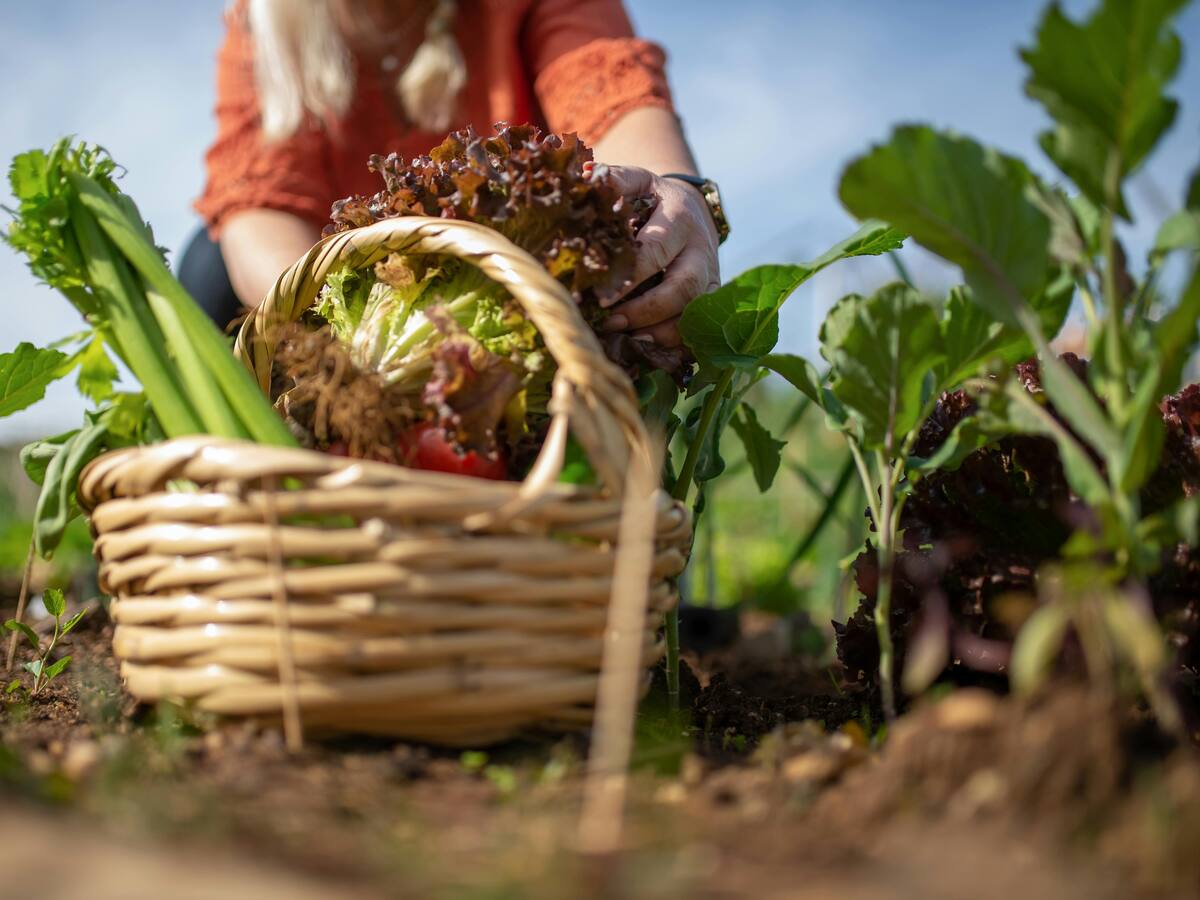 Científicos de todo el mundo aprenden en Barreiros cómo combatir la crisis climática a través de la alimentación