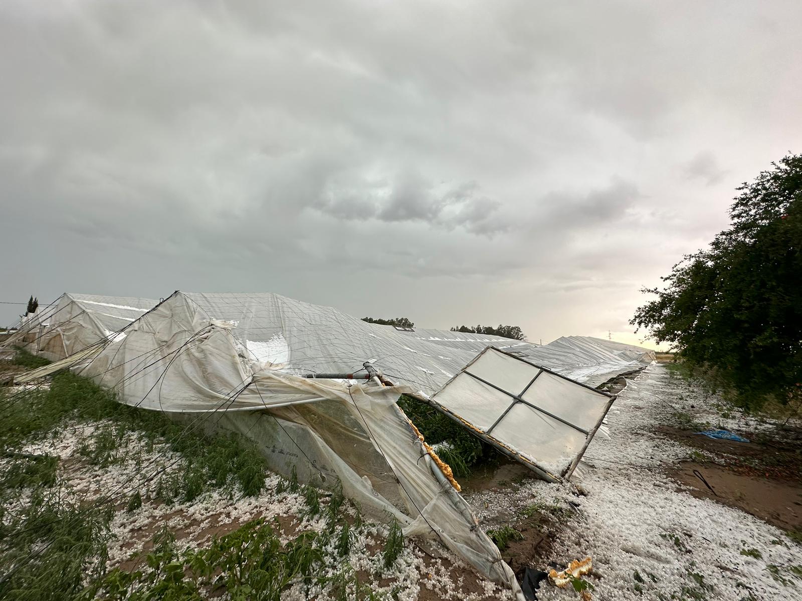 Un invernadero de Los Palacios y Villafranca tras la tormenta.