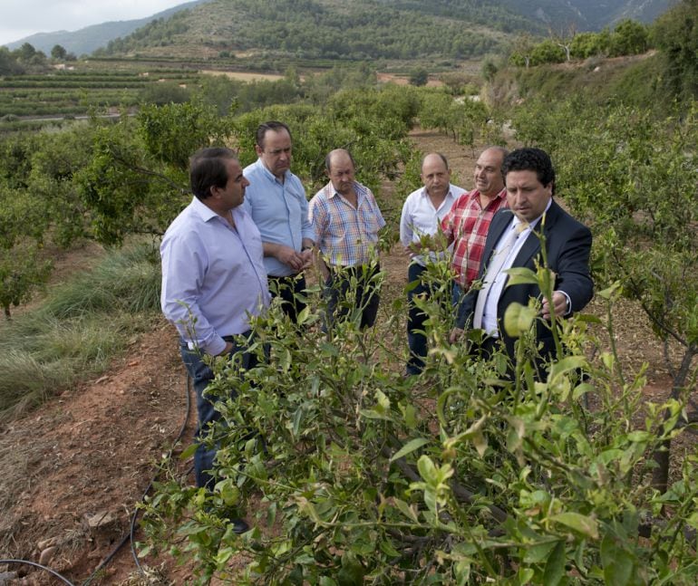 Imagen de archivo del presidente de la Diputación de Castellón, Javier Moliner, con representantes de cooperativas de Artana