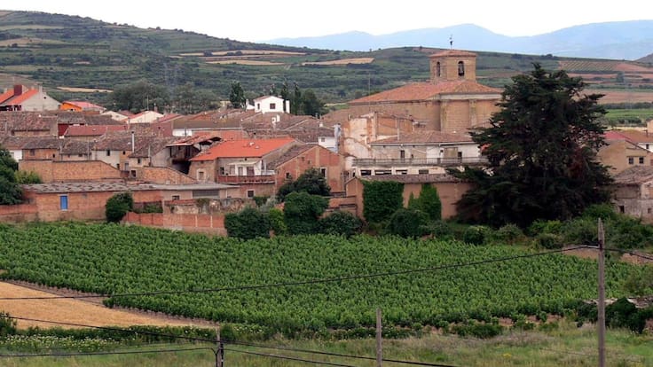 Uno de los dos bares y la tienda de El Redal bajan su persiana en noviembre