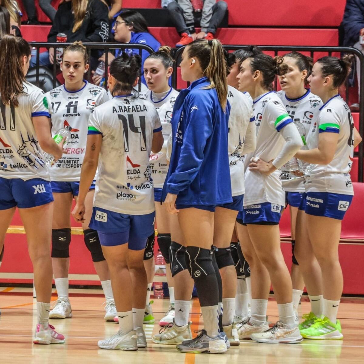 El Elda Prestigio empieza la pelea por la permanencia recibiendo al Rocasa Gran Canaria (Mi. 20.00 h)