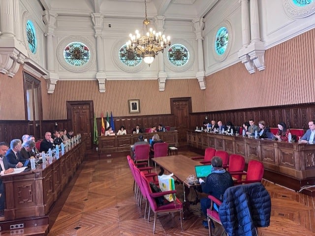 Pleno de la Diputación Provincial.