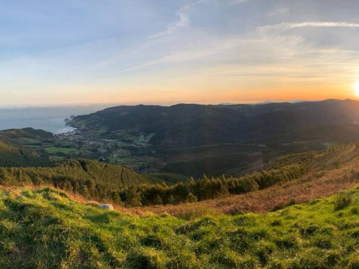 LOS MONTES DE GARRO: JATA