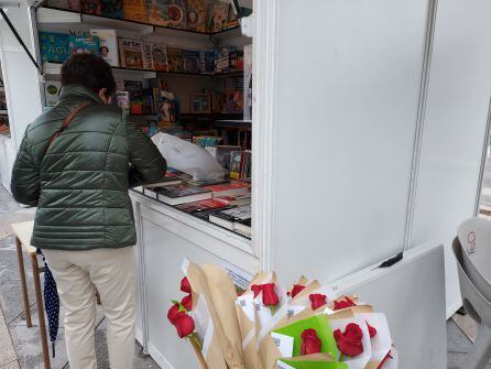 Una lectora visita uno de los stands de la Feria del Libro