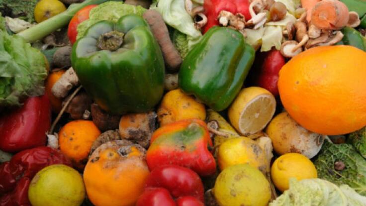 Los escalofriantes datos del despilfarro de alimentos en los comedores escolares