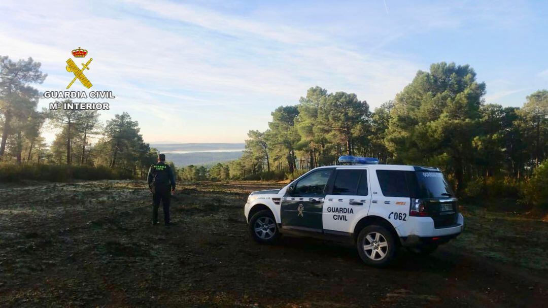 Agentes de la Guardia Civil investigan el supuesto envenenamiento de animales en Montehermoso