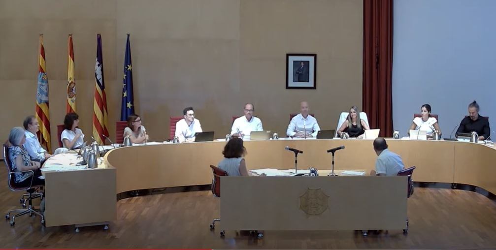 Ple del Consell Insular