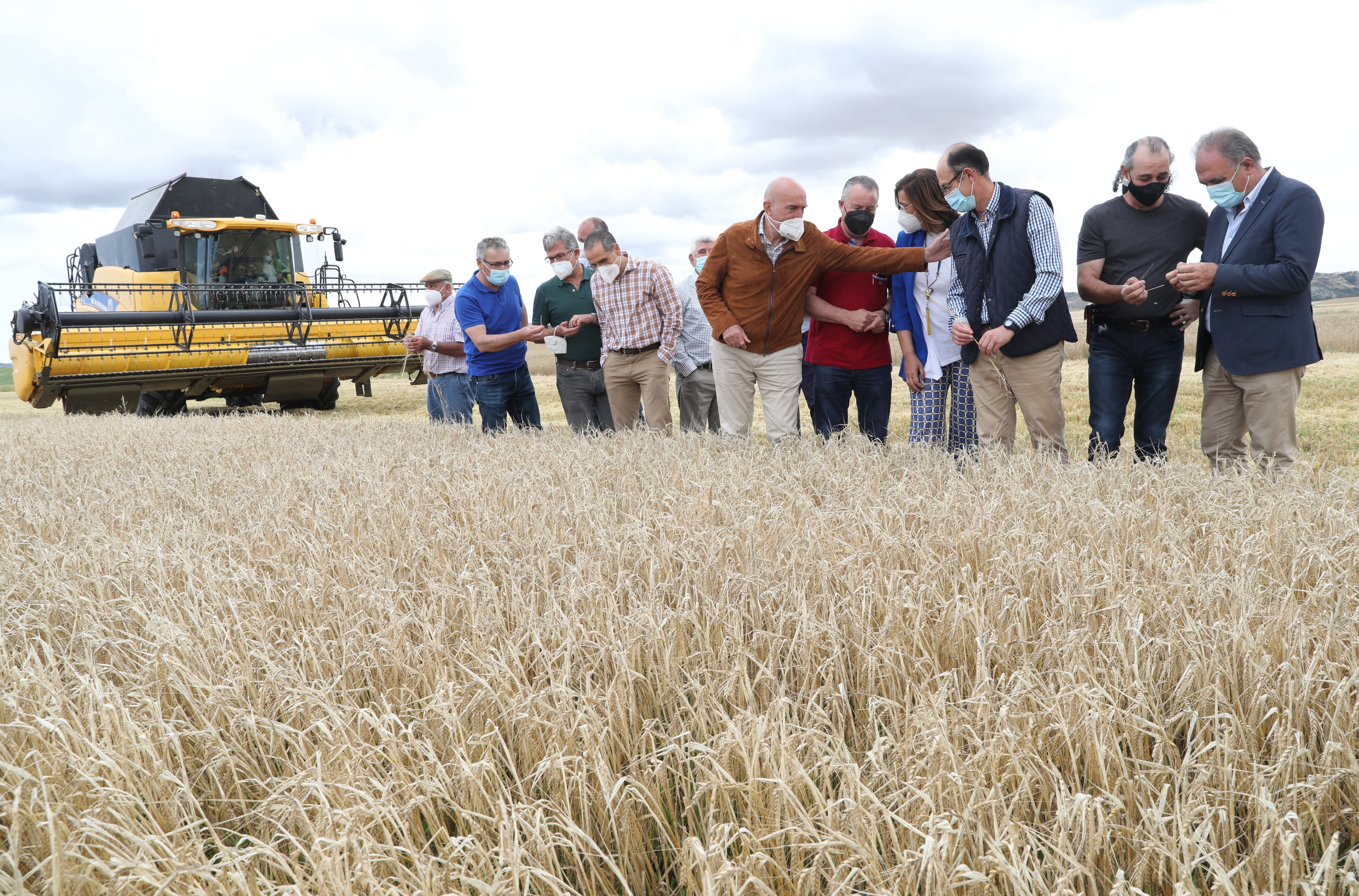 Agricultores visitan los campos de cereal en el inicio de la cosecha