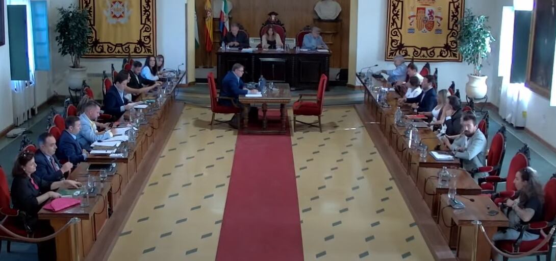 Imagen del pleno celebrado hoy en Linares.