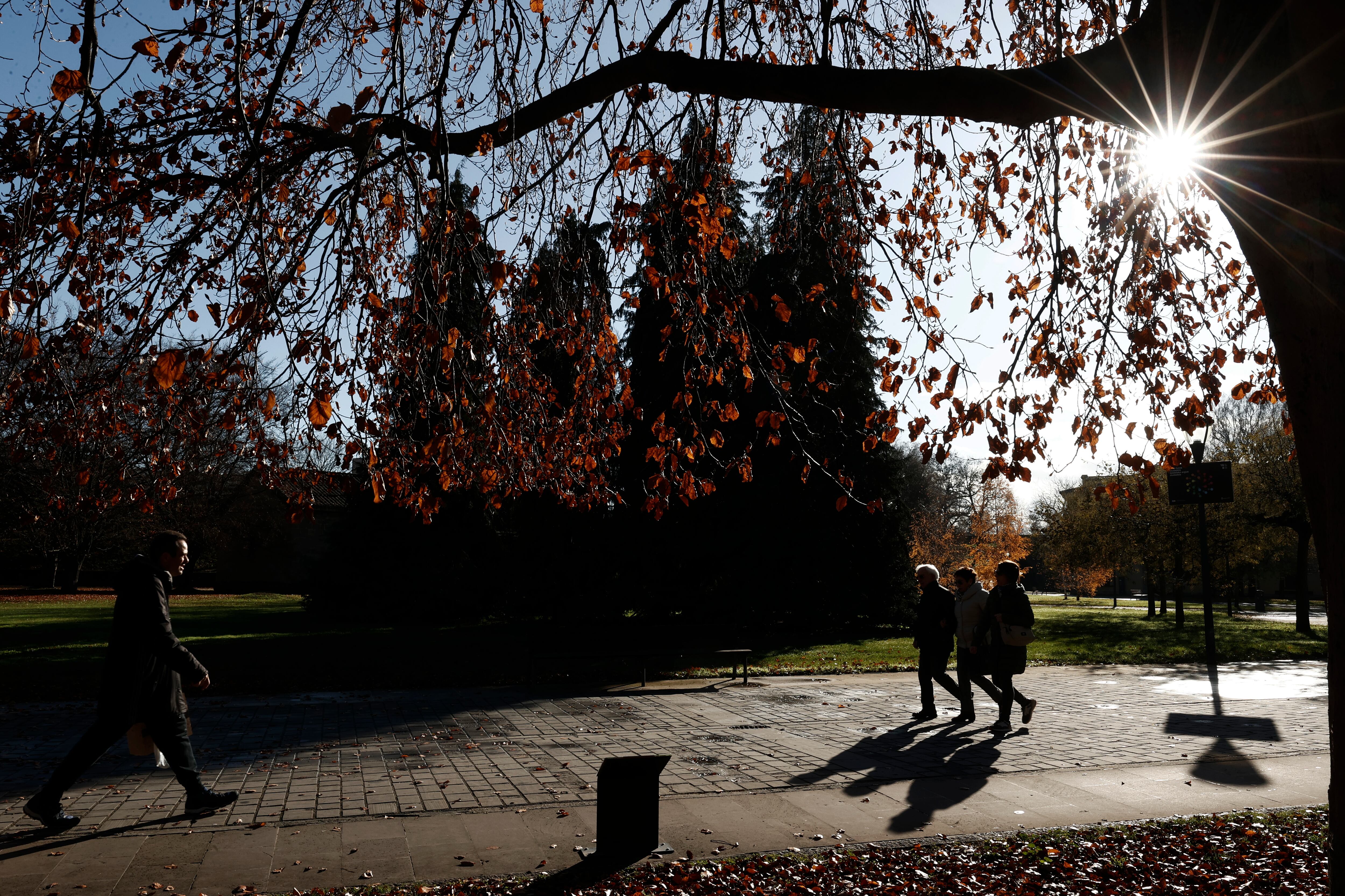 El invierno de 2025 va a ser más cálido de lo normal en España, con heladas puntuales.