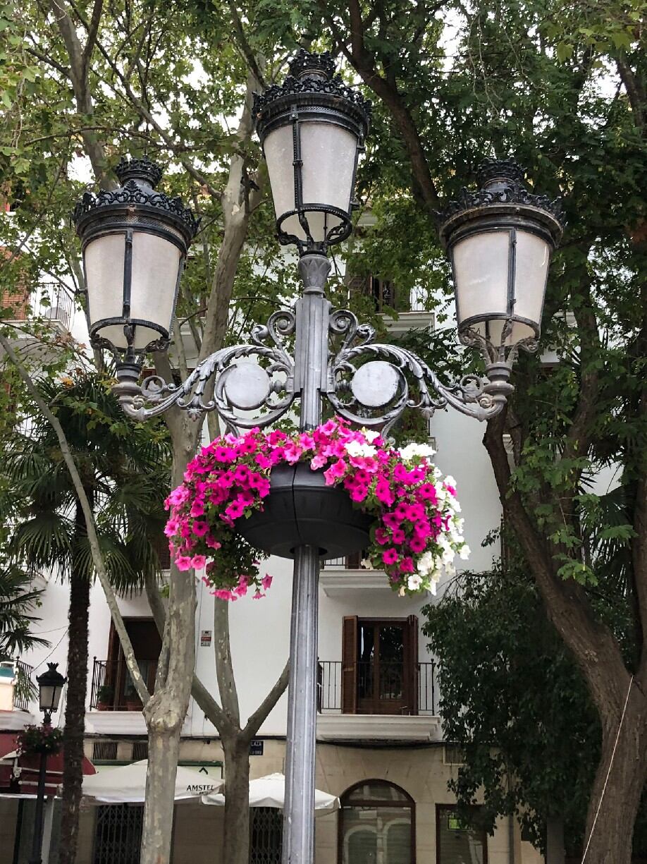 El Ayuntamiento de Lorca coloca medio centenar de maceteros colgantes para embellecer las calles y plazas del municipio