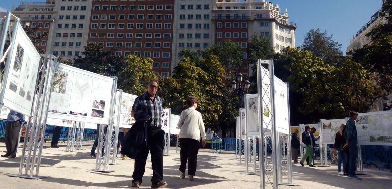 Paneles informativos instalados en la Plaza de España. 