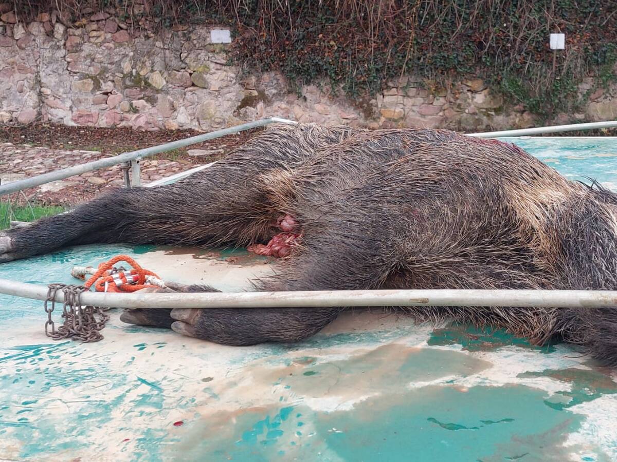 Entrevista a Enrique Parra