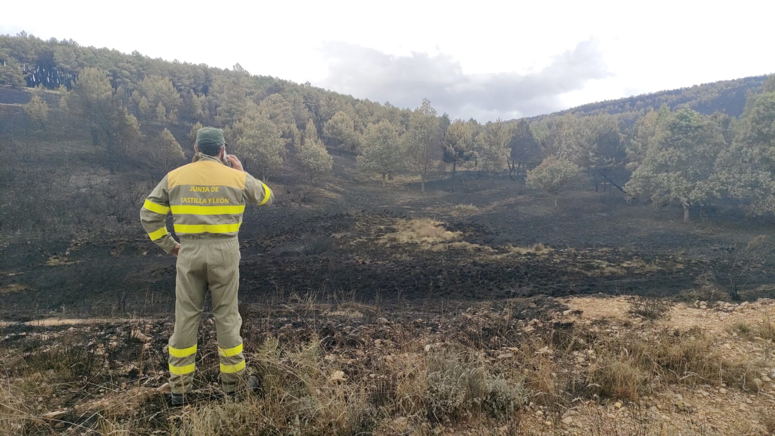 Operario de la Junta ante los efectos del incendio