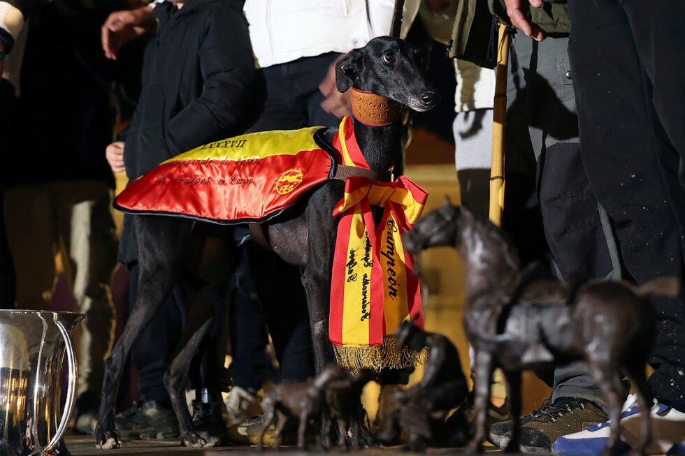 Morería de Suerte, con el distintivo que la reconoce como Campeona de España