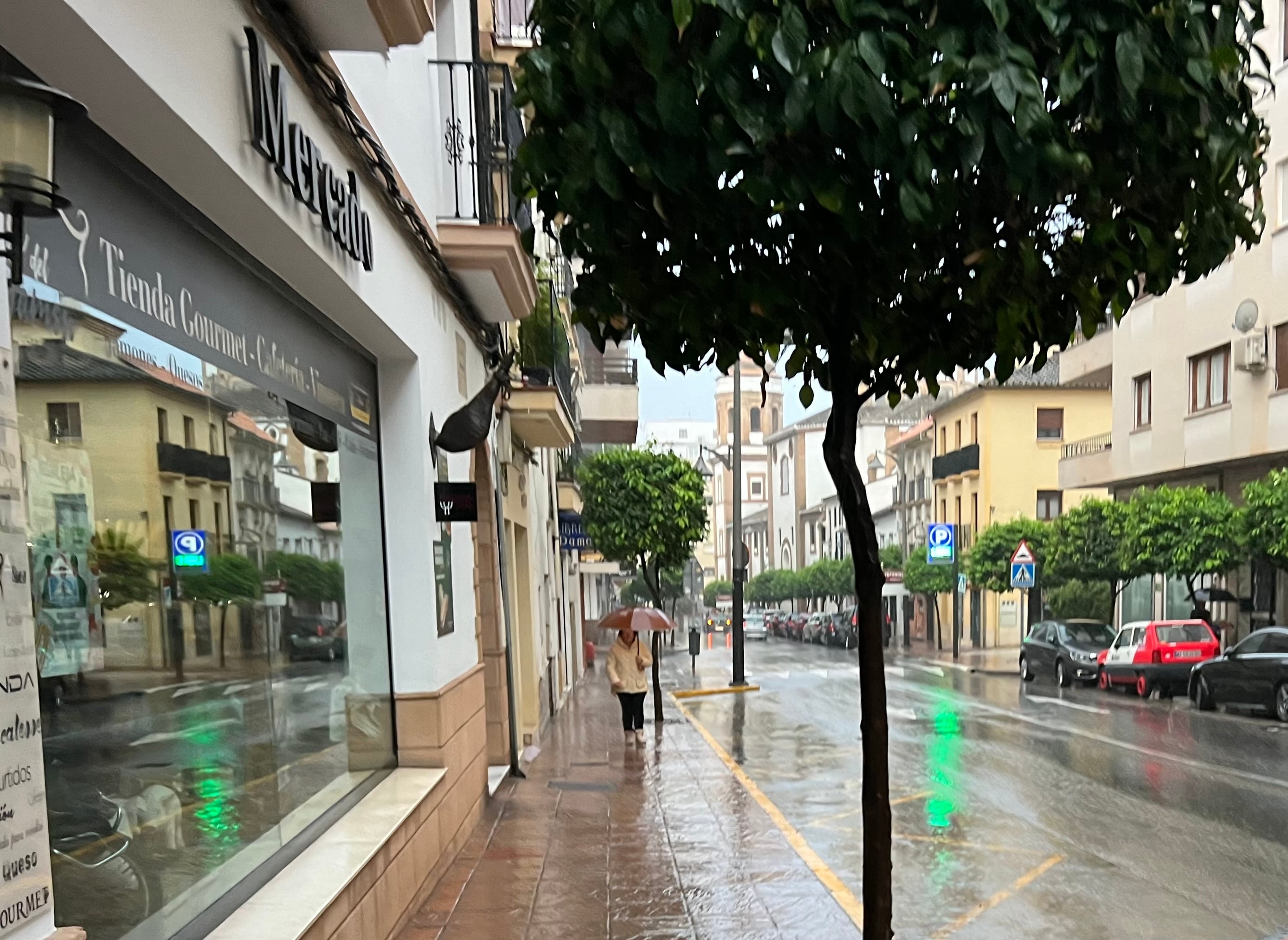 Una ciudadana camina bajo la lluvia en la calle Jerez de Ronda