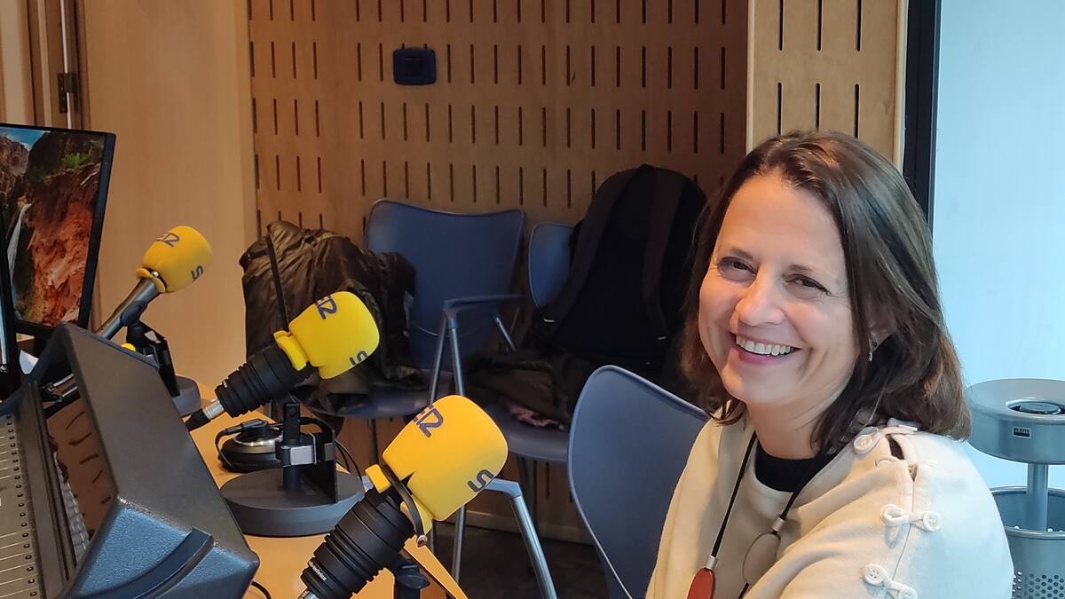 Gili reitera que el Govern no explicava on anirien els diners del fons de solidaritat durant la pandèmia