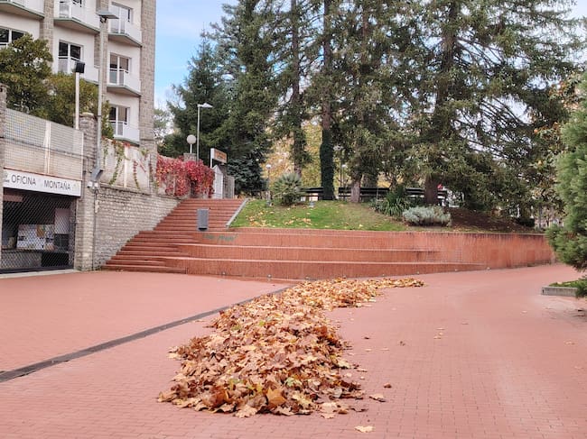 Con el soplado se acumulan las hojas para dejar viales peatonales
