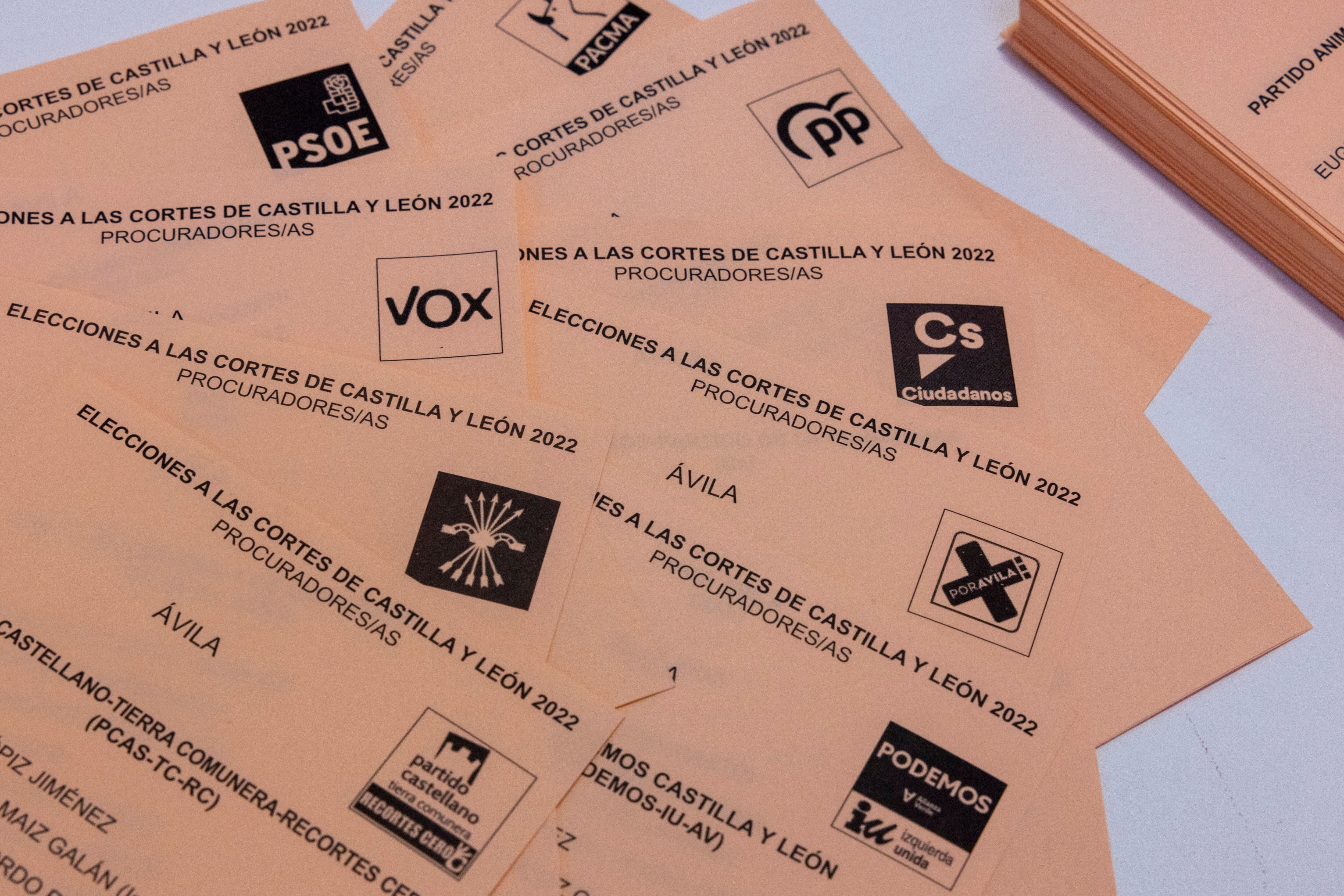Imagen de archivo. Papeletas de las elecciones a las Cortes de Castilla y León de 2022.