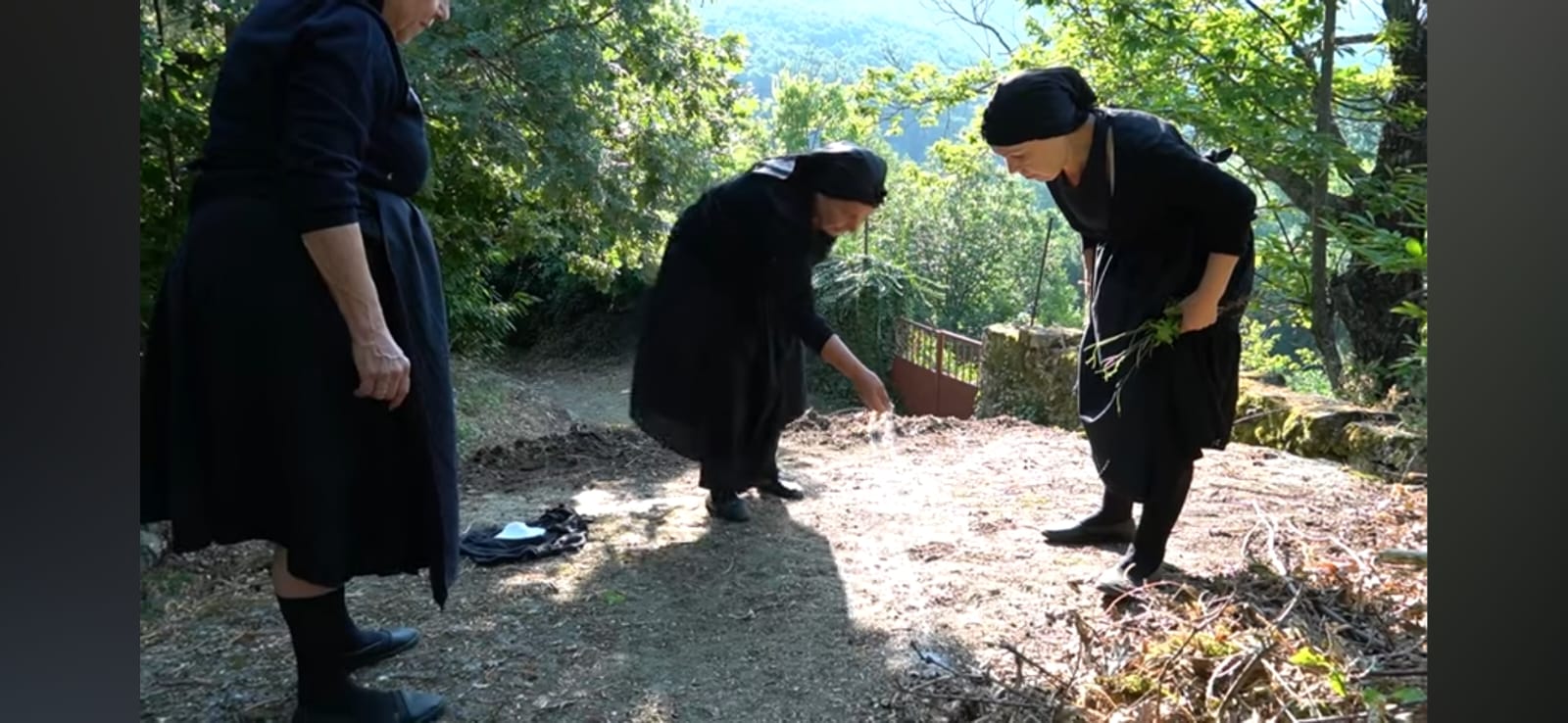 Imagen de la película