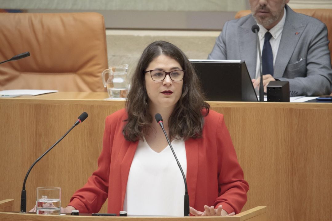 La diputada de Podemos-Equo, Raquel Romero Alonso, durante su intervención en la segunda sesión del debate de investidura de la candidata socialista, Concha Andreu, a la Presidencia de La Rioja.