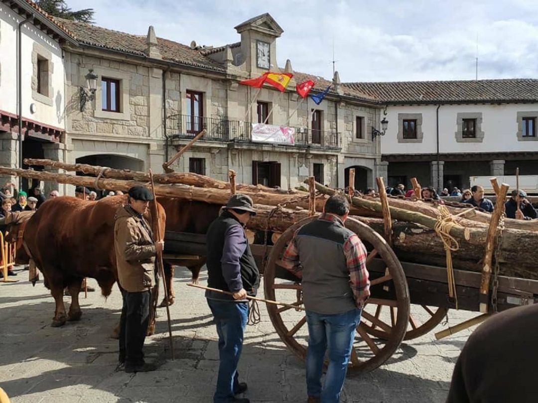 Actividad dentro de la fiesta de los gabarreros de El Espinar