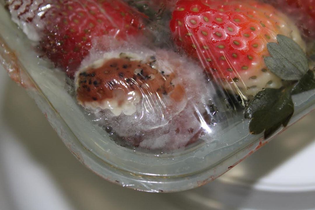 Un consorcio entre la UJI, Braskem, AlpFilm, Nanox y UFSCar produce una película plástica que elimina el Covid