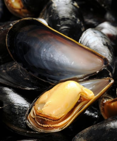 Plato de mejillones