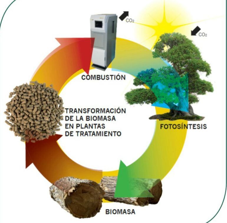 Proceso para la utilización de biomasa