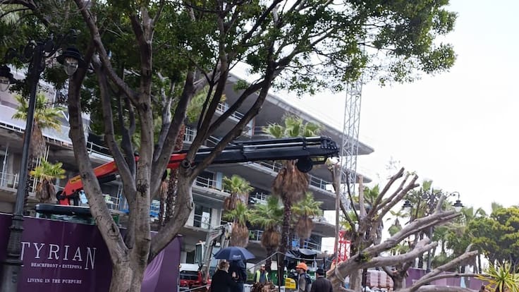 Molina: "Arrancan el patrimonio natural para favorecer a los ricos"