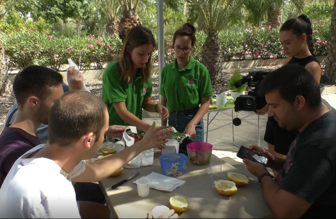 Taller de plantación de maceteros reciclados en la UMH