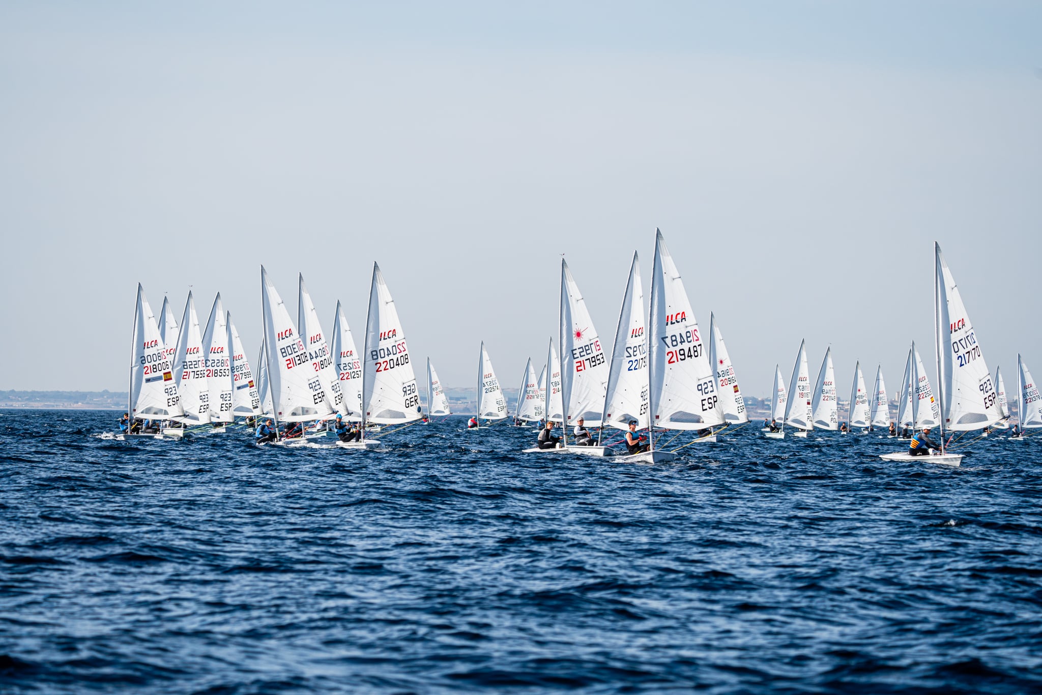 Regata ILCA 7 en Alicante. Foto: David Bañuls