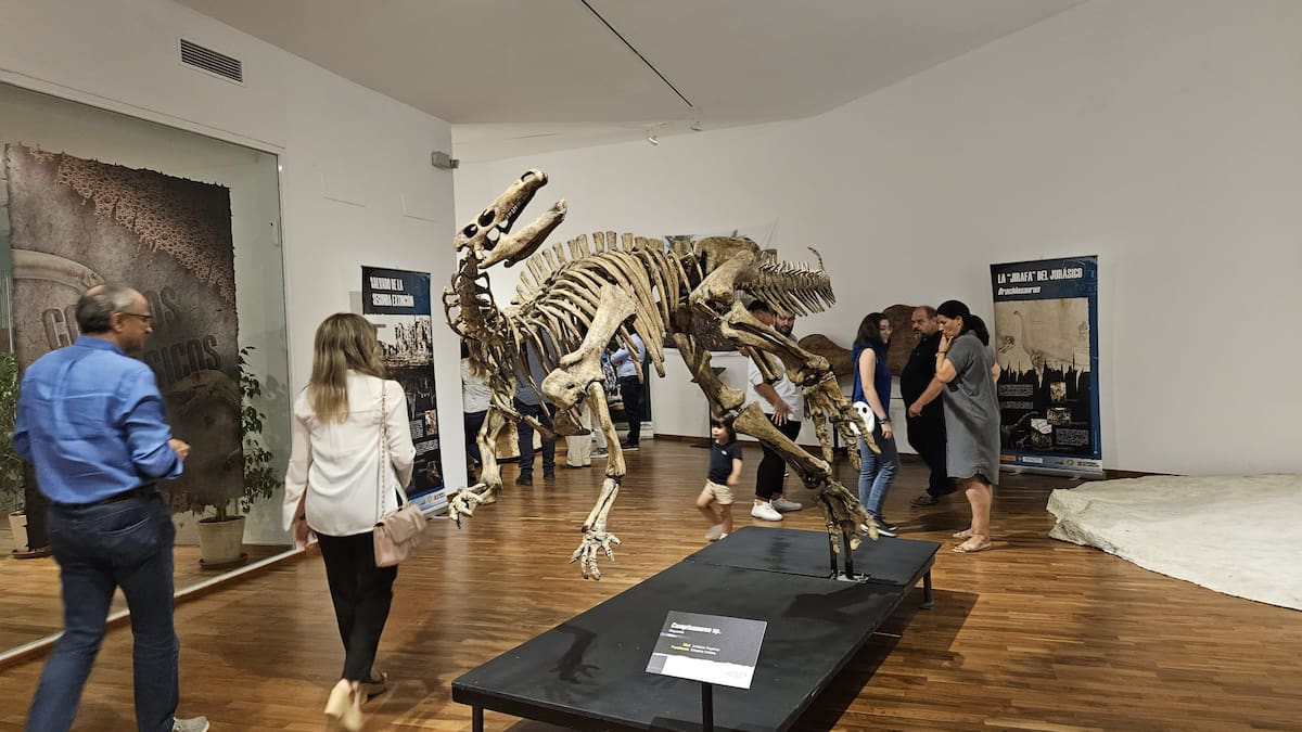 Inauguración de la exposición ‘Colosos Jurásicos’ de Dinopolis (Teruel) a PaleoMágina en Bedmar