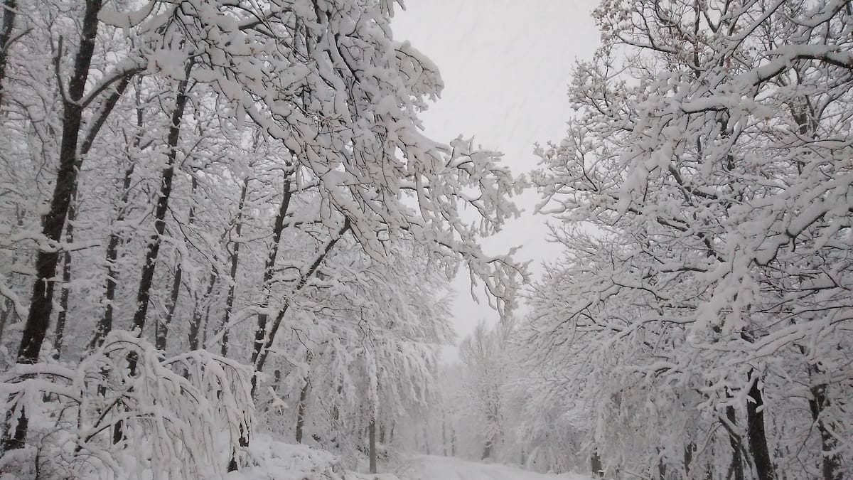 Activada una alerta naranja por importantes nevadas en toda la provincia de Soria