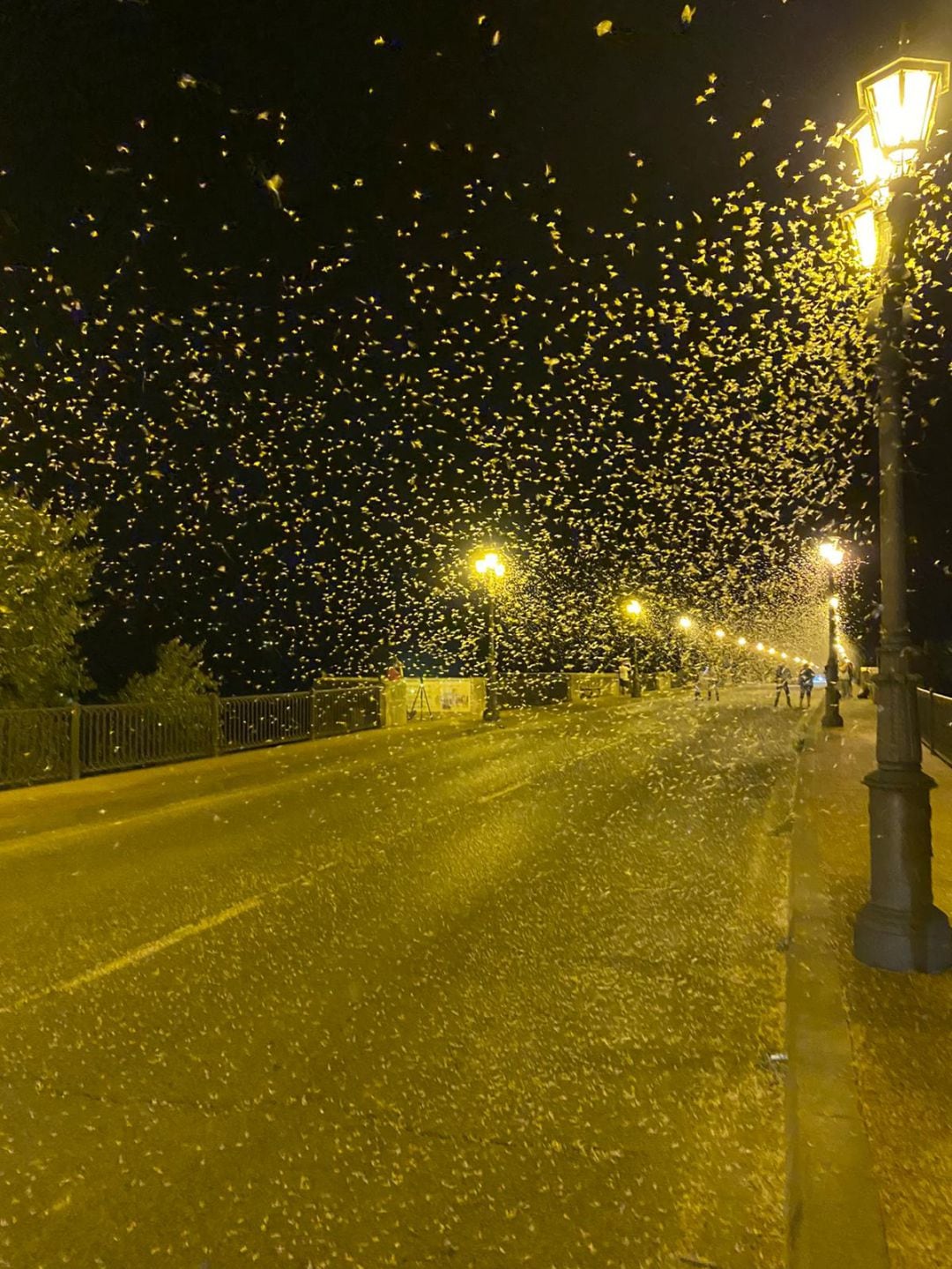 Efímeras sobre el Puente del Ebro en Tudela.