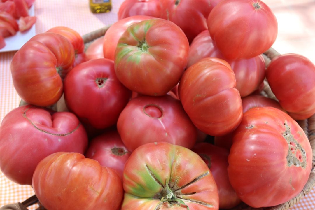 Cada tomate suele tener un peso superior a un kilo y medio