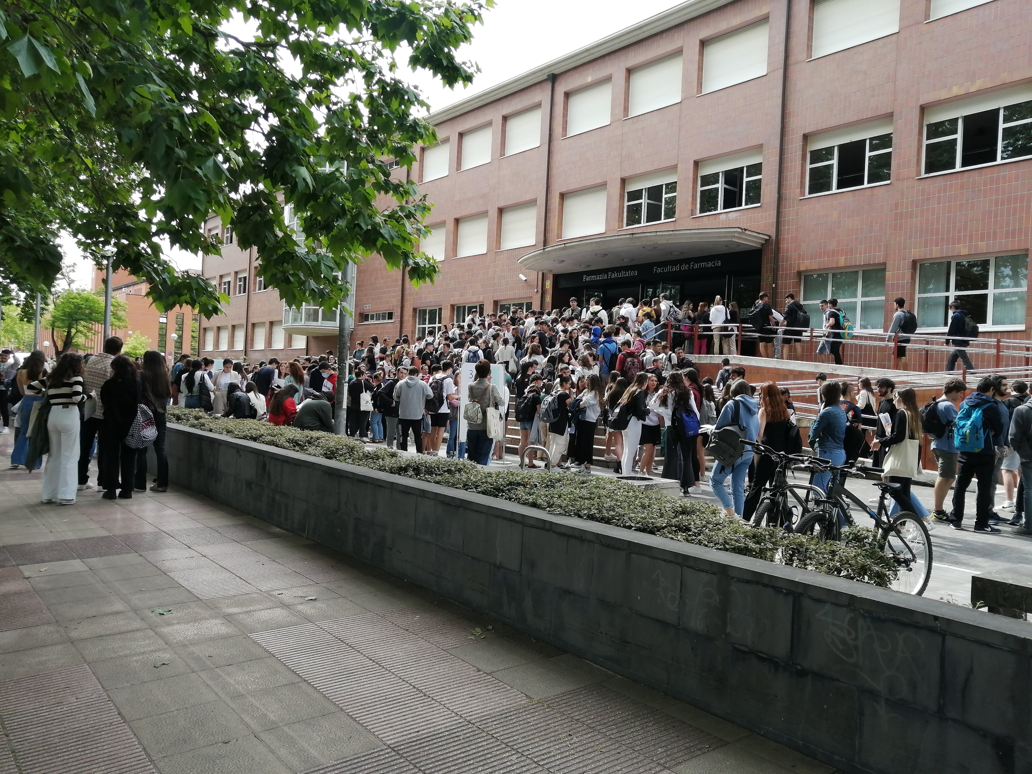 Los alumnos en la Facultad de Farmacia minutos antes de enfrentarse al examen de historia