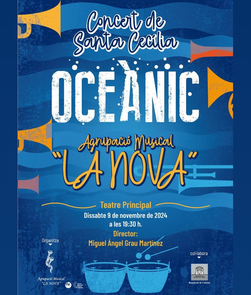 Cartel del concierto