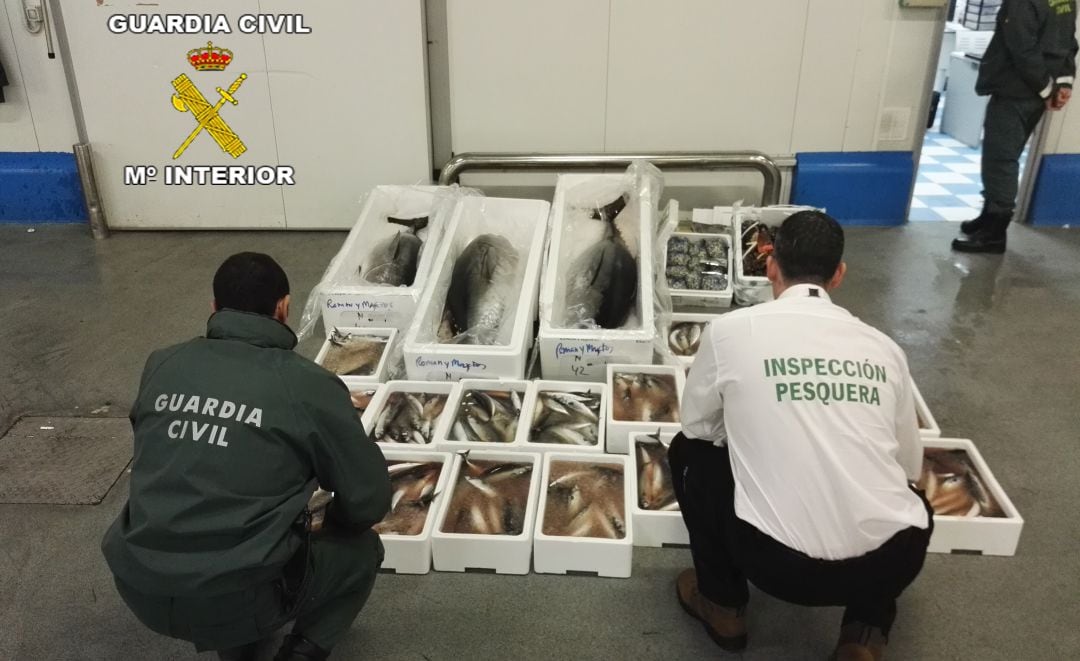 Dos miembros de la Guardia Civil inspeccionan los 100 kilos de caballa intervenidos.