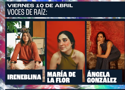 Cartel del concierto