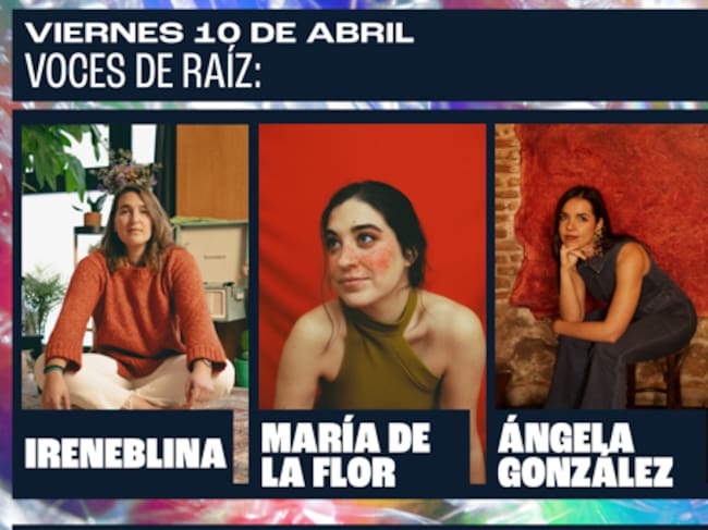 Cartel del concierto