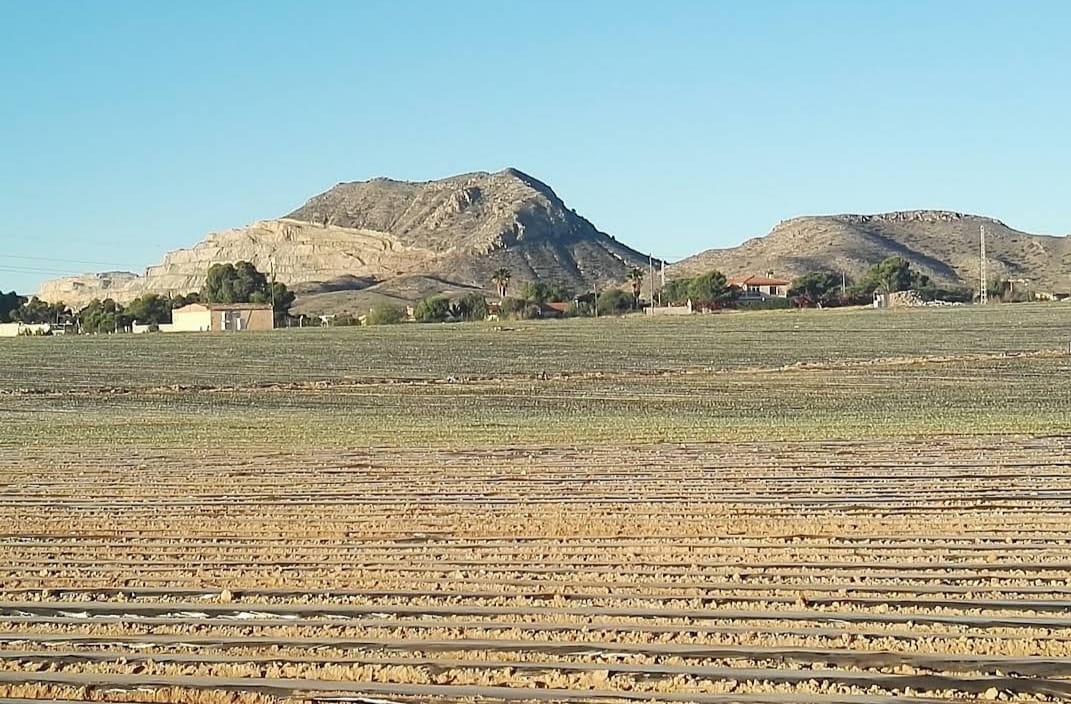 Imagen de archivo: Cañada de Fenollar.