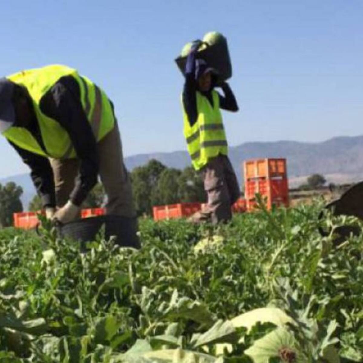 El paro sube en Peñafiel en el mes de julio