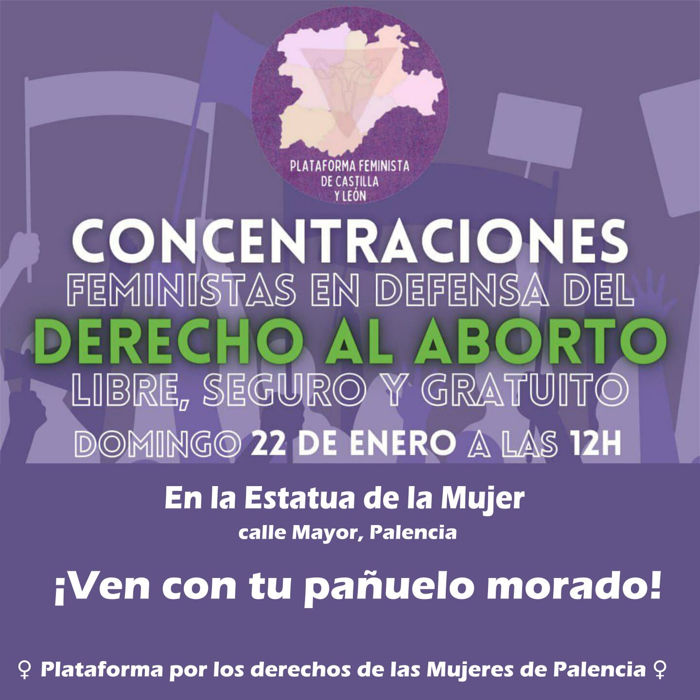 Concentración de la Plataforma por los derechos de las Mujeres de Palencia