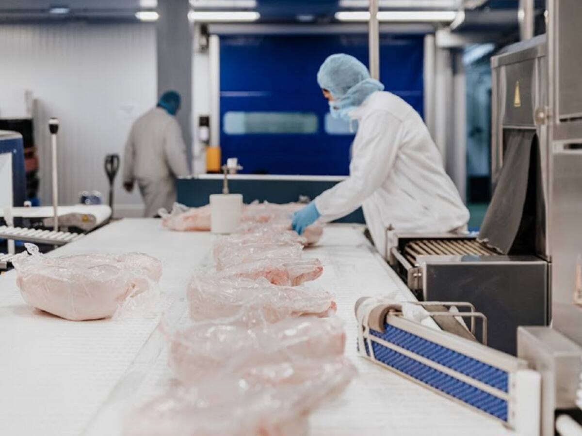 Más de 33.000 raciones de la Marca de Garantía Cochinillo de Segovia se reparten en comedores sociales