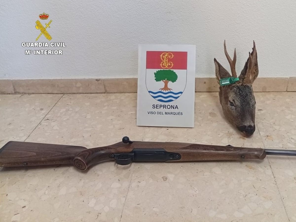 Los pasos del Seprona para localizar a un furtivo que abatió a un corzo en Moral de Calatrava
