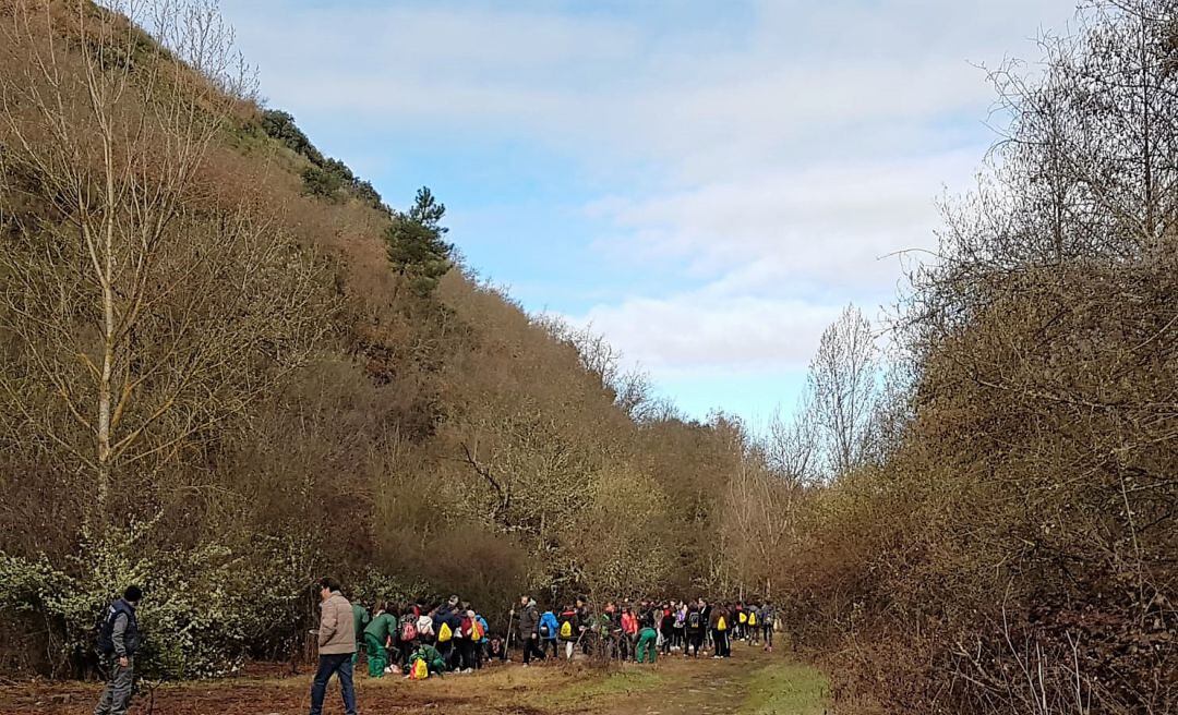La plantación ha tenido lugar en la conocida como Senda de La Lola